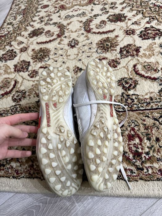 Обменяю сороконожки