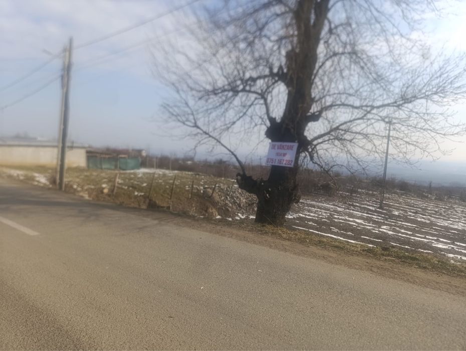 Teren intravilan de vanzare -Deleni-Harlau/Utilitati/Drum asfaltat