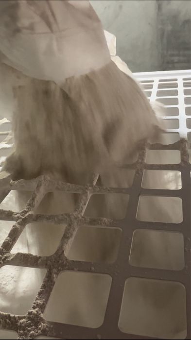 Механизированный Штукатурка стен ГИПС и ЦЕМЕНТНОЕ основе