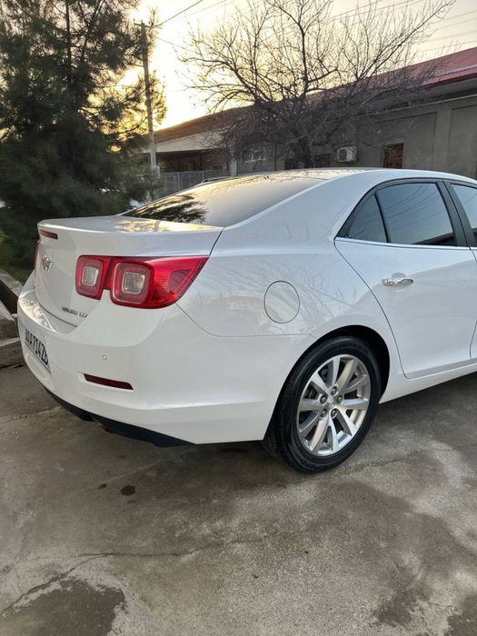 Malibu 1 oq rangi