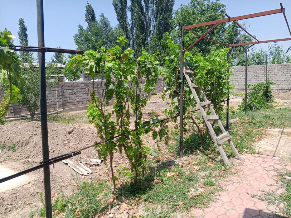 Срочно сотилади 9 сотик дан ошади