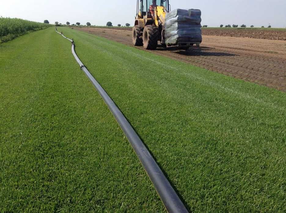 Soluții Verzi pentru Grădină – Gazon Premium cu Montaj