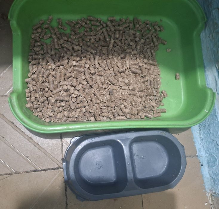 Отдам кота даром