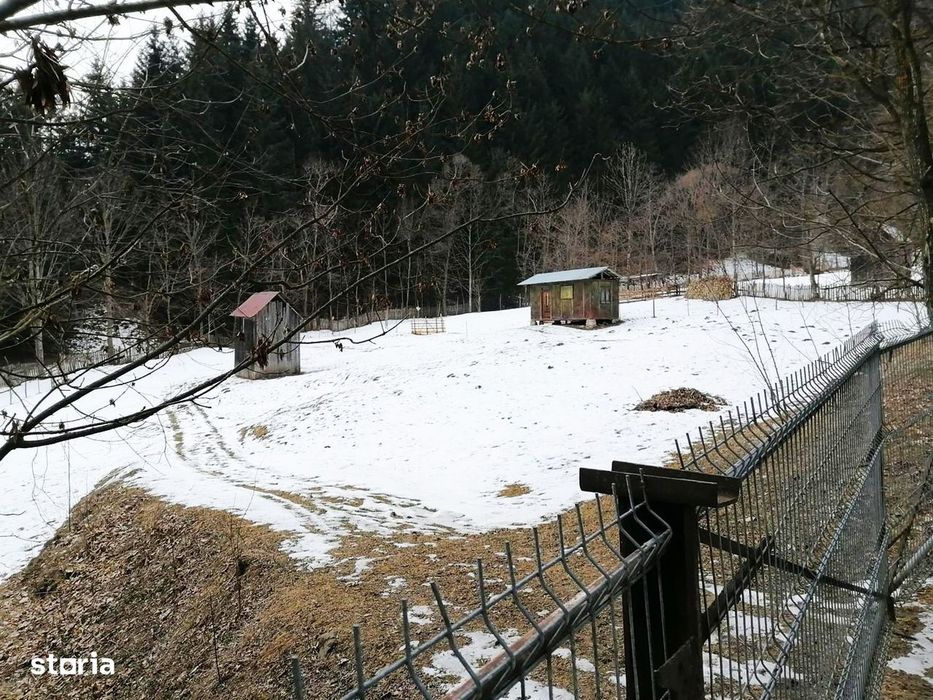 Neamt - Borca, teren 3386mp, langa padure