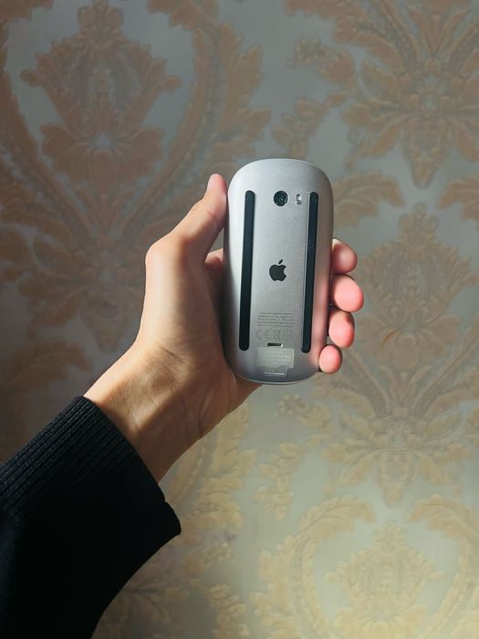 Мышка magic mouse