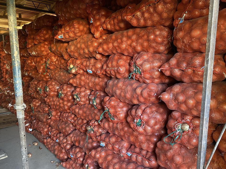 Лук репчатый со склада