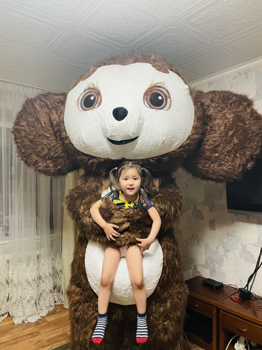 Панда,мишки,Чебурашка,аниматоры