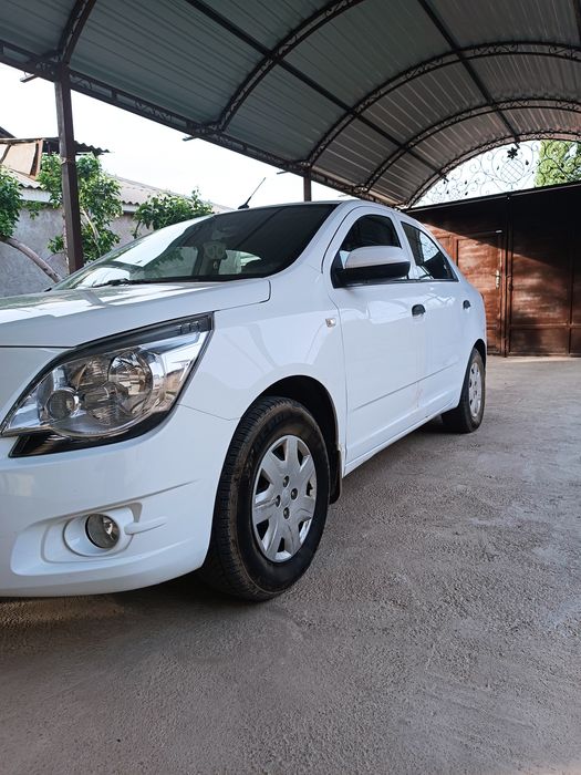 Cobolt LT.2019.                On