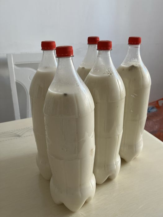 Продаеться  кумыс