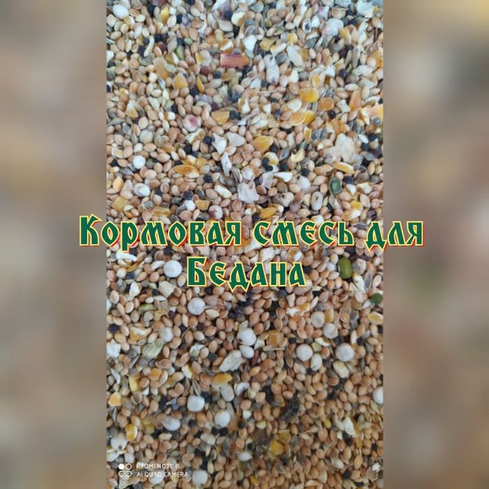 Зерновые культуры korma