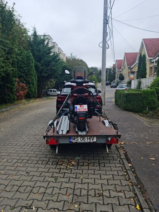 Închirieri Remorci / Trailere Transport Auto, între 750kg și 3500kg