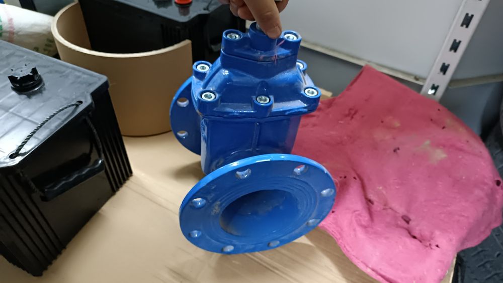 Задвижка только ватсап