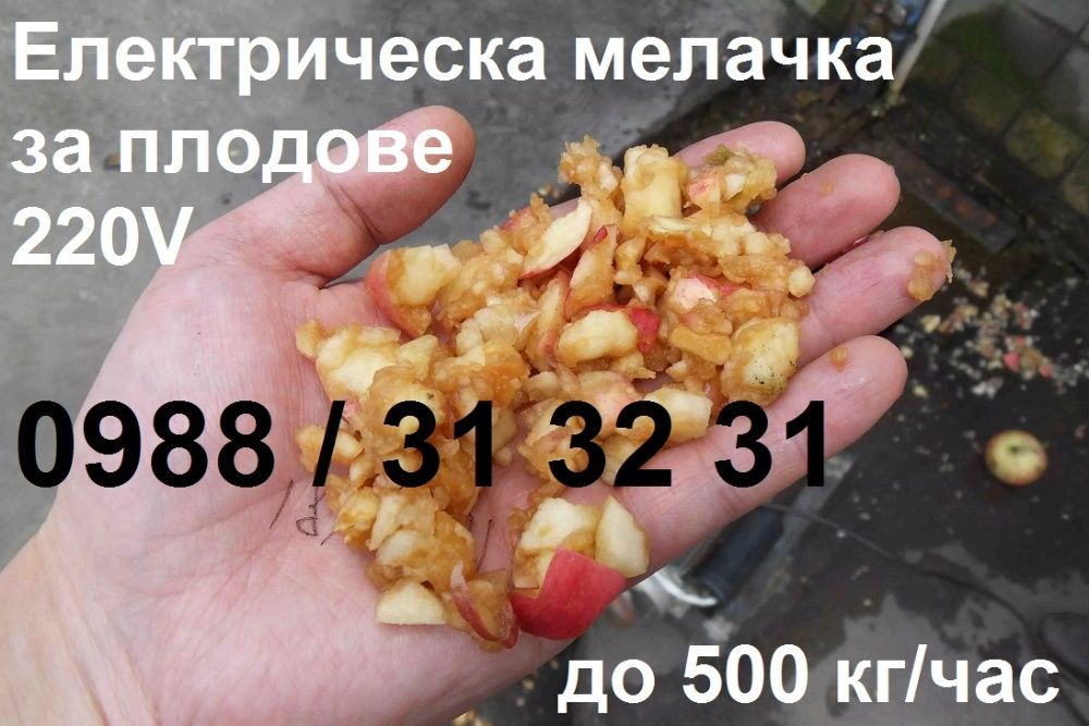 Мелачка / дробилка електрическа за плодове (ябълки, круши), зеленчуци
