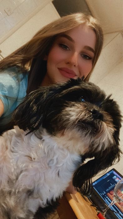 Pet sitter | cazare catelusi si pisicute