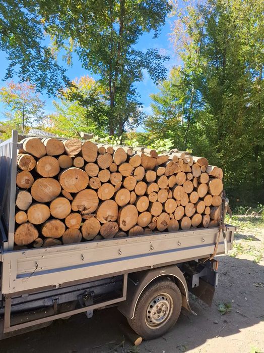 Lemne de foc esență tare fag