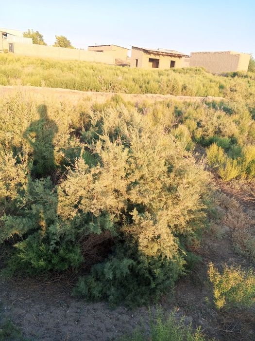 Qarshi tumani Yangibogda uchaska sotiladi