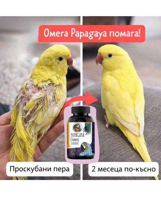 Добавка за здраво оперение за папагал / начупени пера OMEGA PAPAGAYA