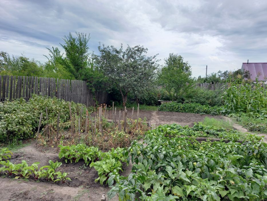 Продам дачу. Мелиоратор