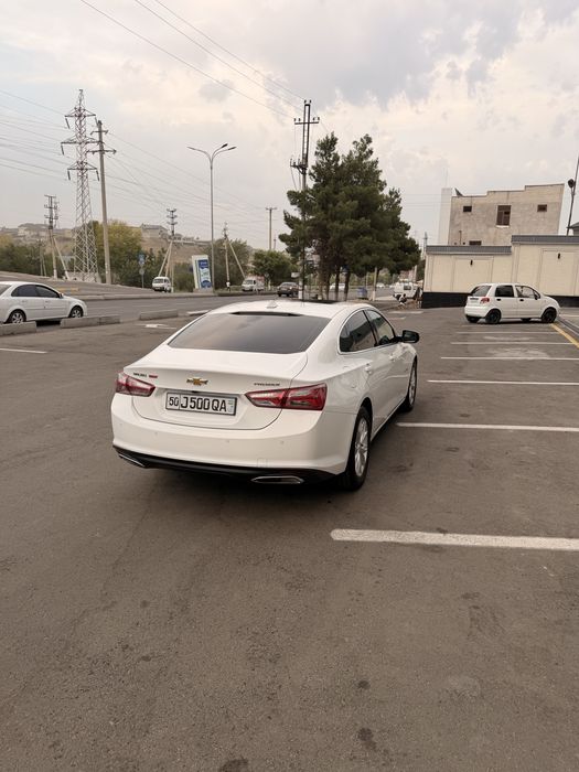 Malibu premier  2021й холти зур