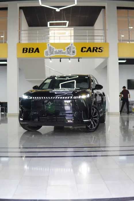 dongfeng 008 max