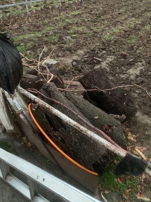 Продаются дрова))