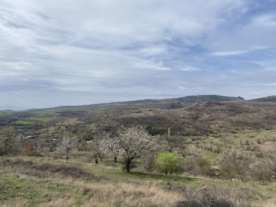 Продава се Земеделски имот в с. Блажиево, Област Кюстендил -  кв.м за 1530 €/дка - Снимка #5