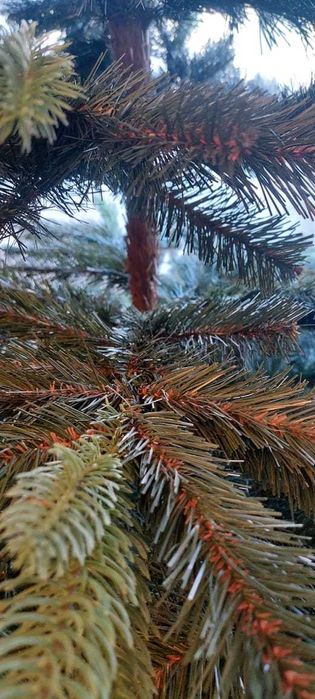 Елка искусственная.