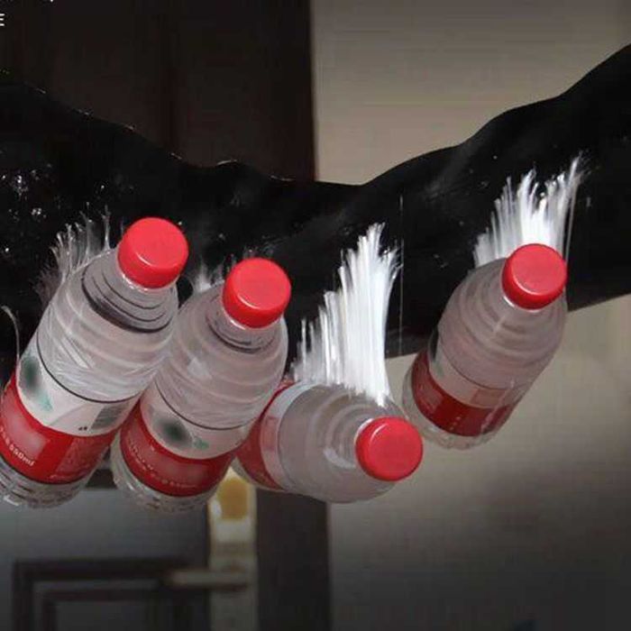 Kalamush tuzoq/ Kalamushga kleyli qopqon