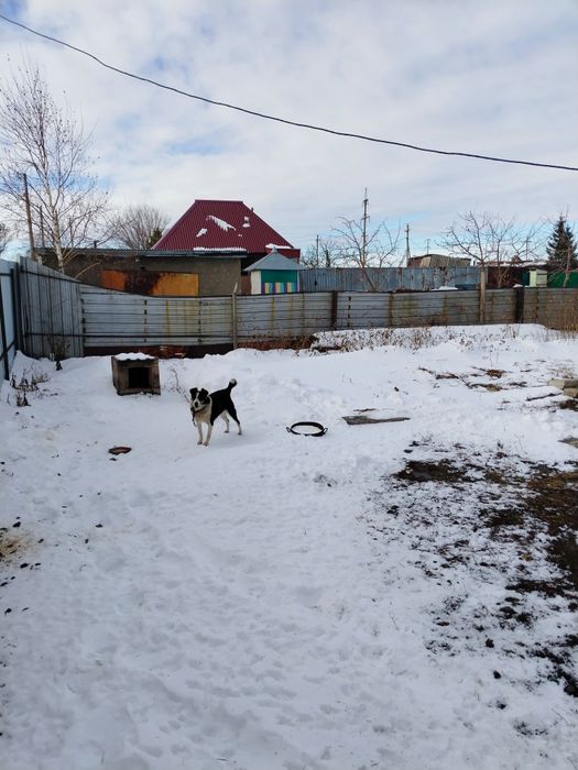 Продам частный сектор