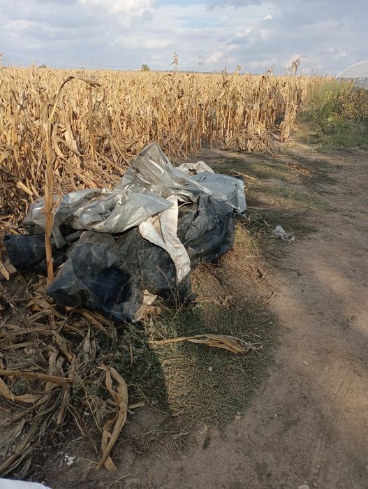 Почистване на мази тавански помещтения