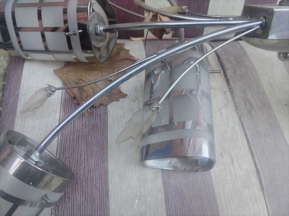 Полилей в добро състояние