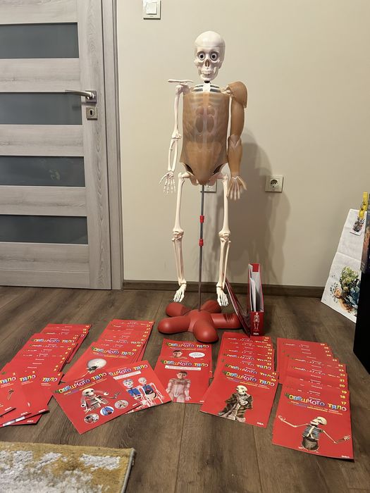 Колекция човешкото тяло