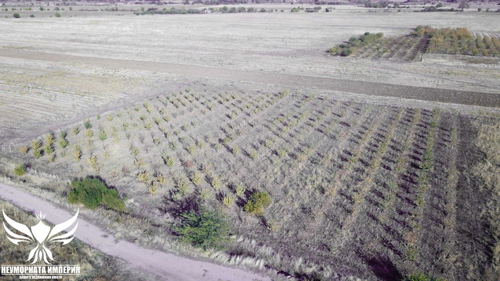 Продава се Земеделски имот в Асеновград -  кв.м за 3009 €/дка - Снимка #1