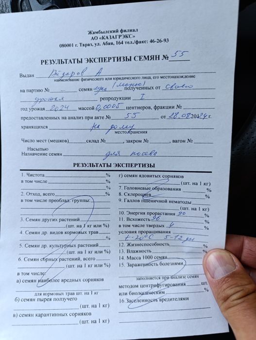 Семена лука 1-я репродукция от оригинала