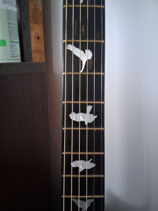 Китара осмица обикновенна