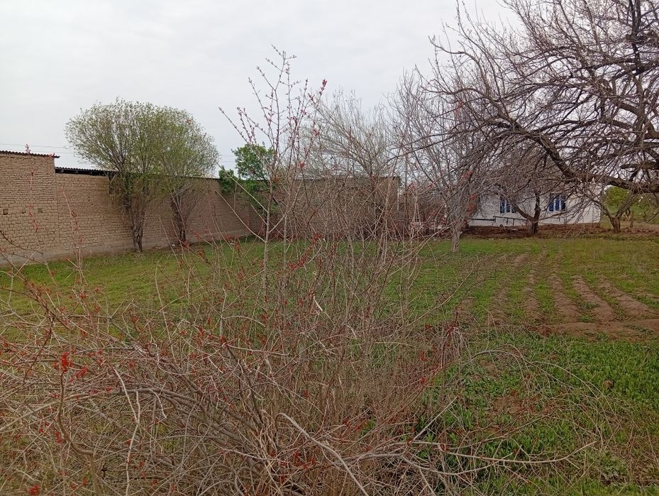 7 hona uy 23 sotix erli hovli sotiladi