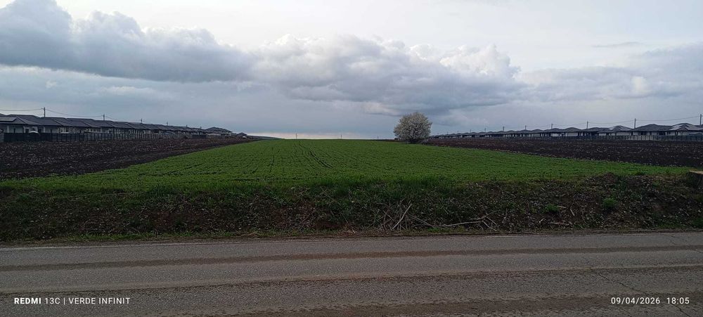 Teren Intravilan, Vorovesti 1 ha