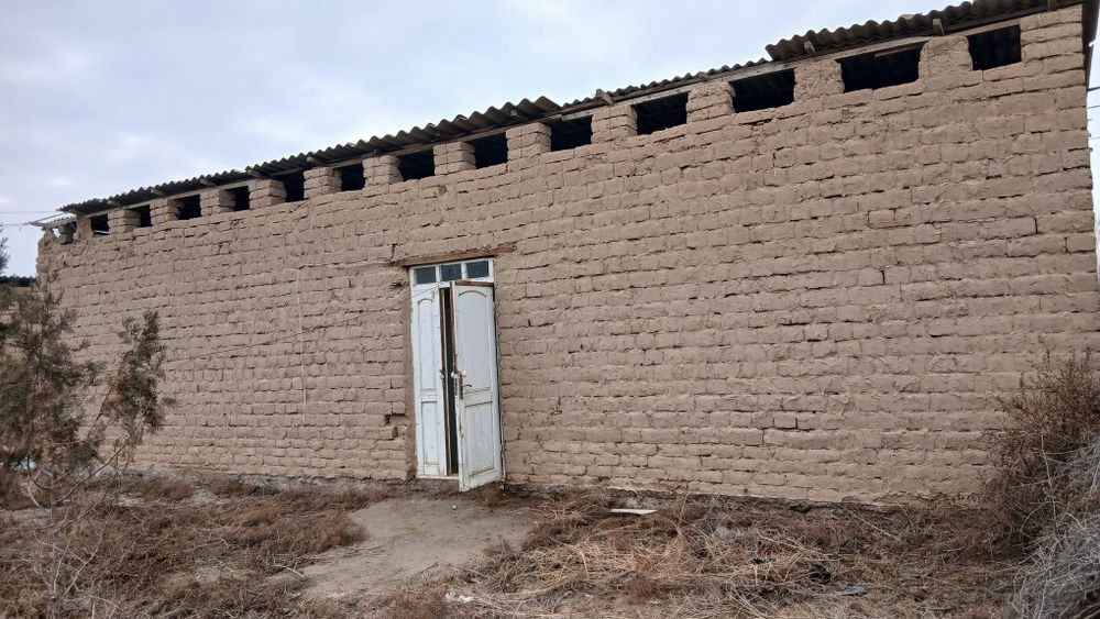 Xovli sotiladi 100mln sum