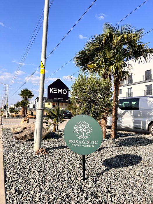 Tuia brazi palmieri cedru artari maslini bosai lamai spirale magnoli