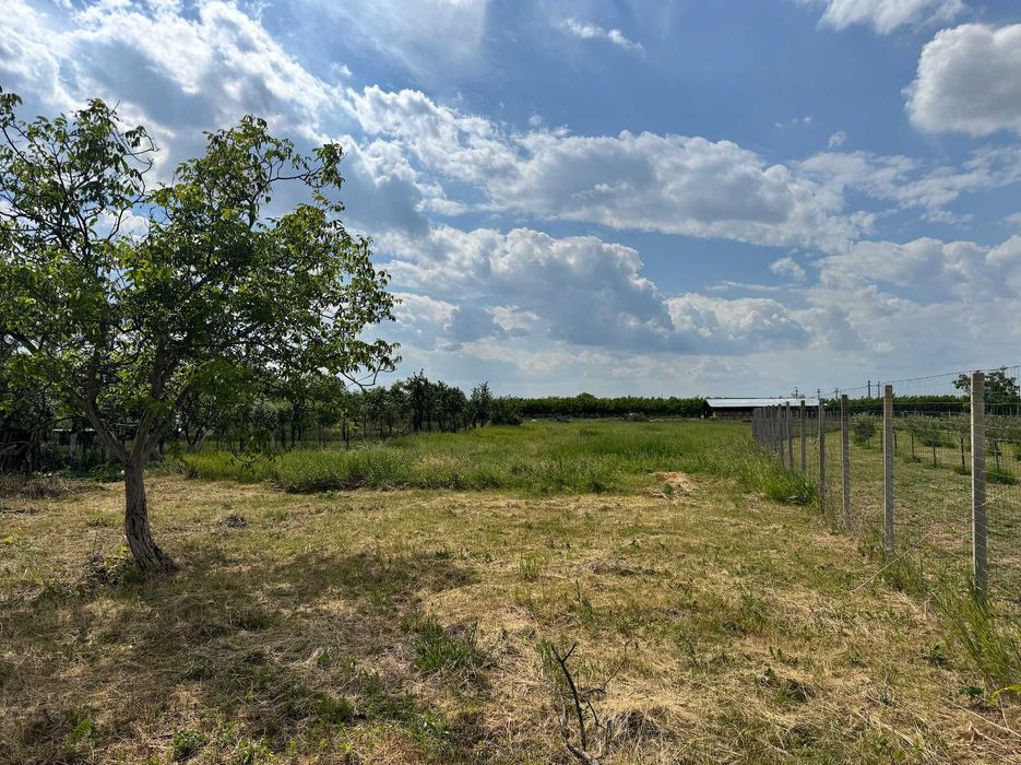 Teren Intravilan 1.500 mp Salonta – Cartier Fuveskert | Front 16m | Toate utilitățile la stradă