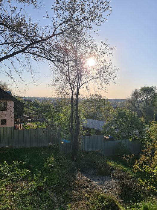 Отдам дрова/деревья даром