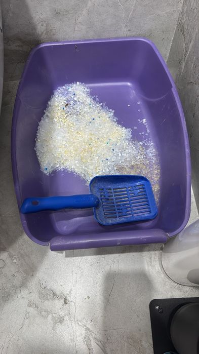 Крошка Ириска 2 год