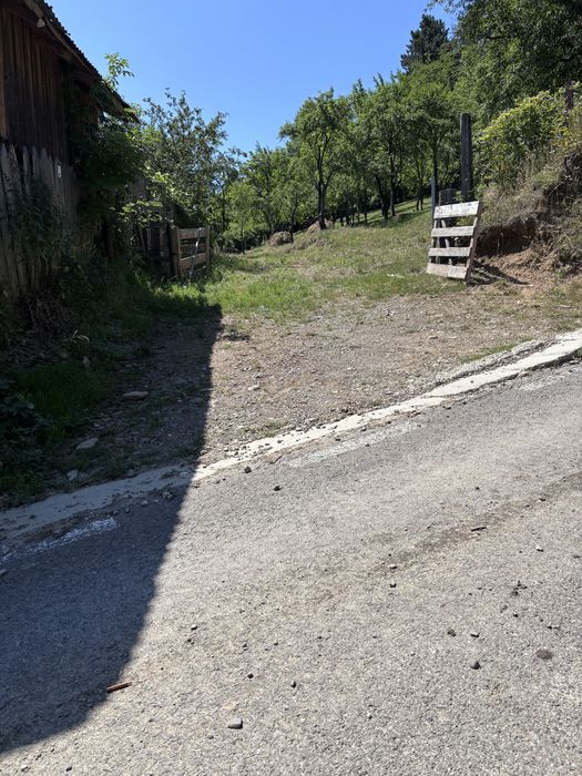Teren intravilan in centru Garcina, jud.Neamt - Mai multe