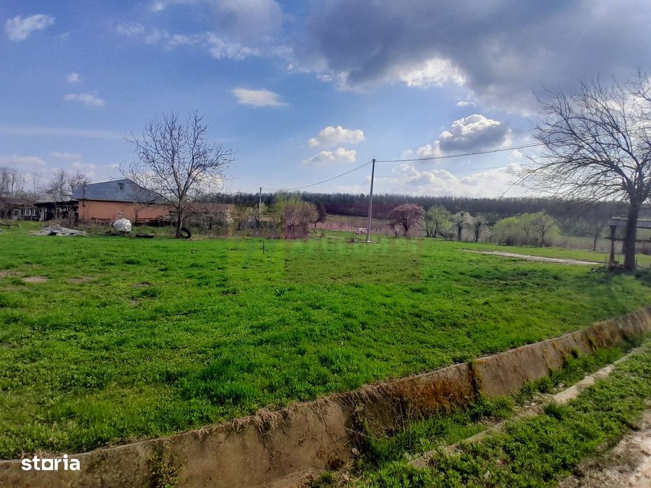 De Vanzare Teren 3400 Mp In Sat Podu Ilfovat / Com Buturugeni (Gr)
