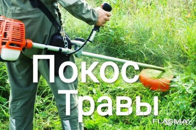 Покос Травы Треммиром На Вашем Участке и на Дачах За горадом