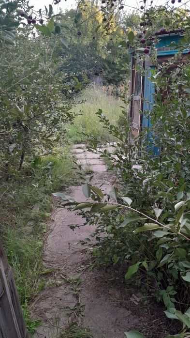 Продам дачный участок