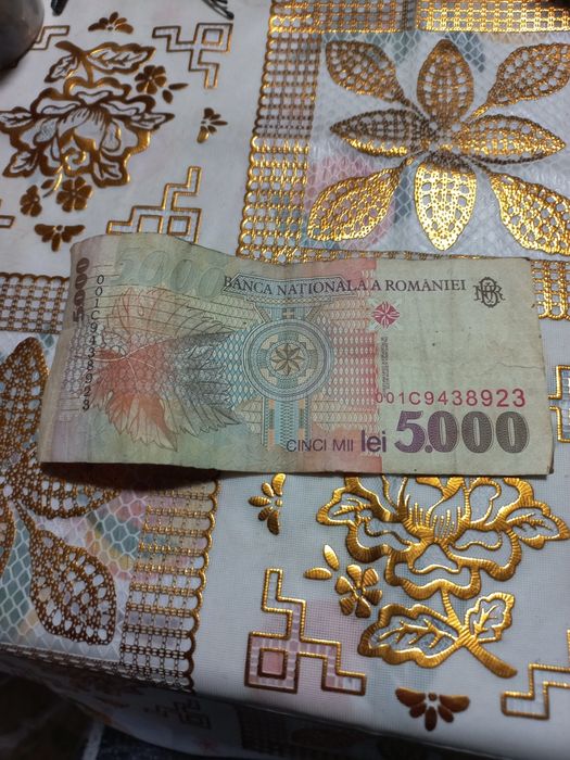 5000 de lei din 1998