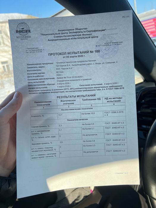 Продам зеленую чечевицу