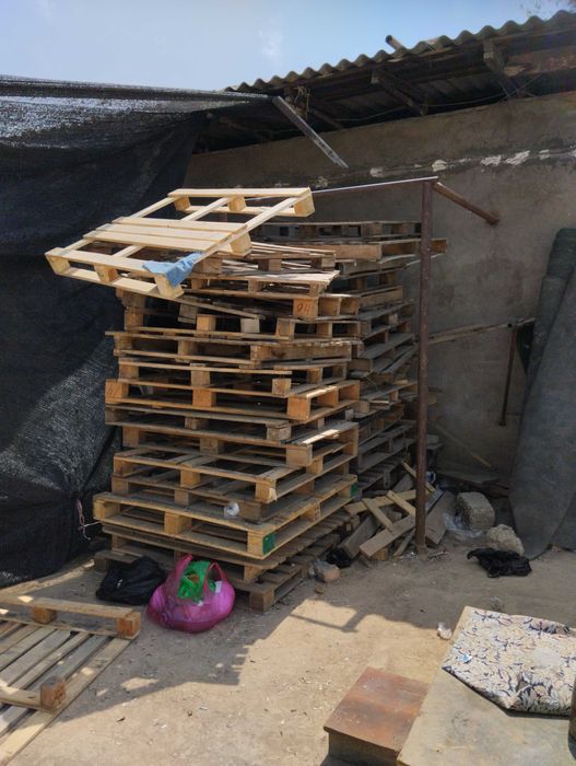 Поддон бор.40.000