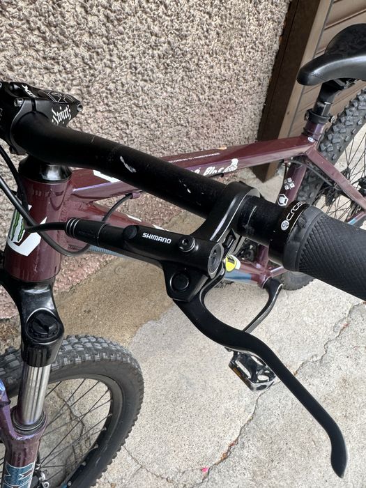 Drag C1 Fun  2021 L